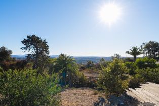 , 1691 Crest dr, Encinitas, CA 92024 - 10