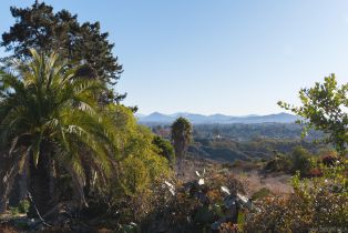 , 1691 Crest dr, Encinitas, CA 92024 - 16