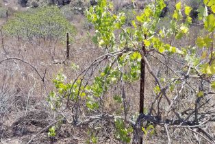 , 12526 SW BOULDER MT rd, Poway, CA 92064 - 3