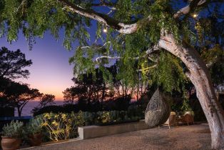 Single Family Residence, 327 Pine Needles dr, Del Mar, CA 92014 - 21