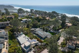 Single Family Residence, 327 Pine Needles dr, Del Mar, CA 92014 - 39
