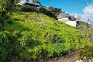 , 42 Castellana rd, La Jolla, CA 92037 - 12