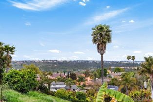 Single Family Residence, 6541 Vispera pl, Carlsbad, CA 92009 - 33