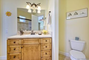 Single Family Residence, 2224 Dos Lomas, Fallbrook, CA 92028 - 28