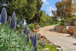 Single Family Residence, 18383 Colina Fuerte, Rancho Santa Fe, CA 92067 - 11