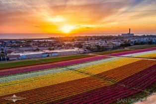 Single Family Residence, 3275 Maezel ln, Carlsbad, CA 92008 - 48