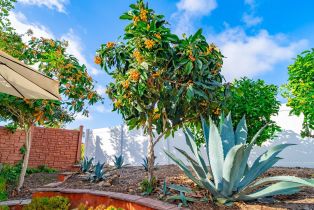 Single Family Residence, 6433 La Paloma st, Carlsbad, CA 92009 - 54