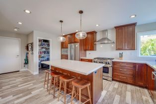 Single Family Residence, 1647 Hawk View dr, Encinitas, CA 92024 - 15