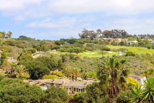Single Family Residence, 1647 Hawk View dr, Encinitas, CA 92024 - 64
