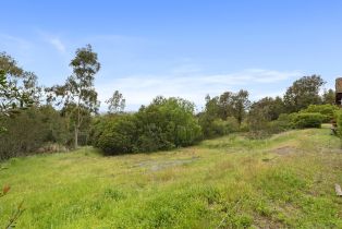 Single Family Residence, 6035 Paseo Valencia, Rancho Santa Fe, CA 92067 - 11