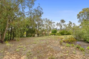 Single Family Residence, 6035 Paseo Valencia, Rancho Santa Fe, CA 92067 - 13
