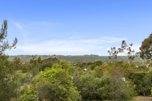 Single Family Residence, 6035 Paseo Valencia, Rancho Santa Fe, CA 92067 - 4