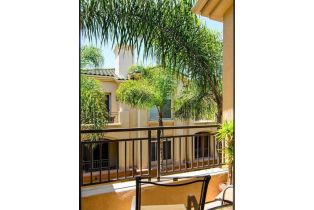 , 9263 Regents rd, La Jolla, CA 92037 - 12