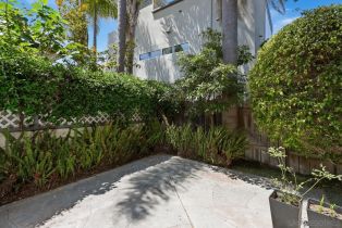 Single Family Residence, 716 Glenview ln, La Jolla, CA 92037 - 22