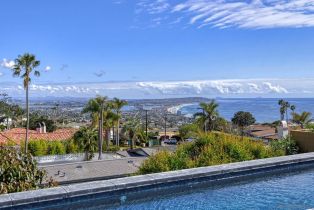 Single Family Residence, 1253 La Jolla Rancho rd, La Jolla, CA 92037 - 29