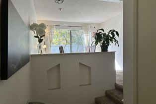 , 0 8184 Caminito Sonoma, La Jolla, CA 92037 - 3