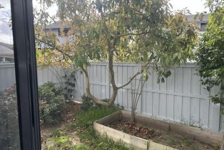 , 0 8184 Caminito Sonoma, La Jolla, CA 92037 - 6