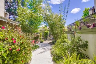 Condominium, 3319 Caminito Eastbluff, La Jolla, CA 92037 - 33