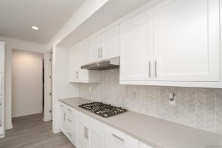 Single Family Residence, 39818 Ninebark ct, Temecula, CA 92591 - 6