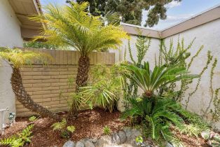 Condominium, 1608 Caminito Asterisco, La Jolla, CA 92037 - 29