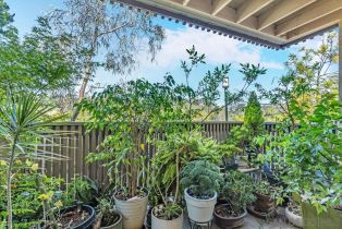 Condominium, 8536 Via Mallorca, La Jolla, CA 92037 - 19