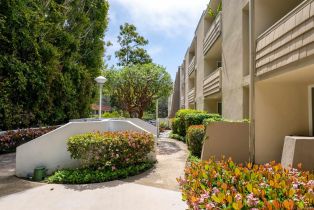 Condominium, 2510 Torrey pnes, La Jolla, CA 92037 - 30