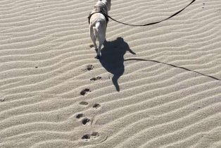 Condominium, 5103 W Wooley rd, Oxnard, CA 93035 - 15