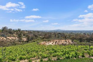 Single Family Residence, 5653 Linea Del Cielo, Rancho Santa Fe, CA 92067 - 18