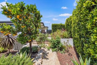 Single Family Residence, 5560 Moonlight ln, La Jolla, CA 92037 - 16