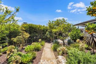 Single Family Residence, 5560 Moonlight ln, La Jolla, CA 92037 - 17