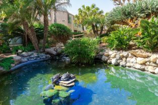 Condominium, 579 Sierra ave, Solana Beach, CA 92075 - 50