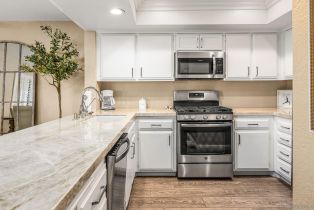 Condominium, 867 Ginger ave, Carlsbad, CA 92011 - 13