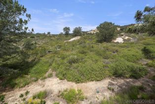 , 13070 Via Grimaldi, Del Mar, CA 92014 - 21