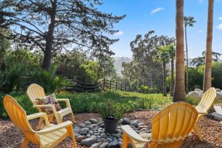 Single Family Residence, 4540 Los Pinos, Rancho Santa Fe, CA 92067 - 35
