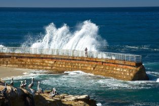 , 6643 Caminito Hermitage, La Jolla, CA 92037 - 29