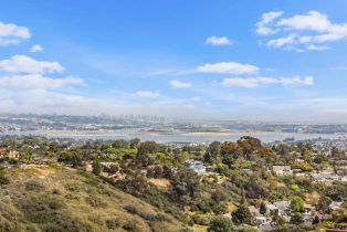 Single Family Residence, 1659 Calle Candela, La Jolla, CA 92037 - 41