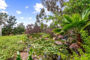 Single Family Residence, 15718 Circo Diegueno, Rancho Santa Fe, CA 92091 - 68