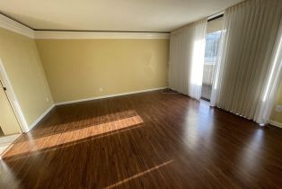 , 2420 Torrey Pines rd, La Jolla, CA 92037 - 20