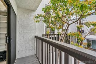Condominium, 3238 Via Alicante, La Jolla, CA 92037 - 15