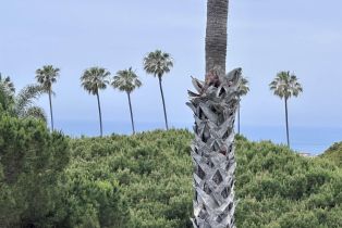 Condominium, 6455 La Jolla blvd, La Jolla, CA 92037 - 19