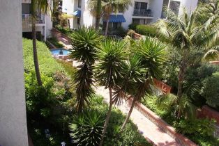 , 8328 Regents rd, La Jolla, CA 92122 - 20