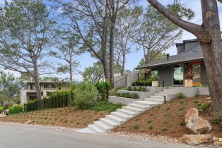 Single Family Residence, 390 Hidden Pines rd, Del Mar, CA 92014 - 2
