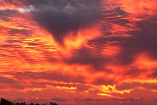 Condominium, 2500 Torrey Pines rd, La Jolla, CA 92037 - 19