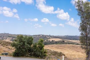 Single Family Residence, 11776 Park Lilac ln, Valley Center, CA 92082 - 28