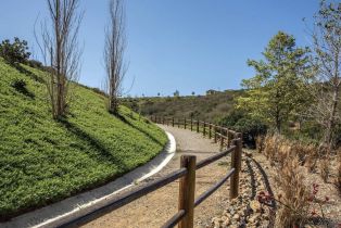 , 7098 Sitio Corazon, Carlsbad, CA 92009 - 28