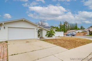 Single Family Residence, 15380 Via La Gitano, Poway, CA 92064 - 45