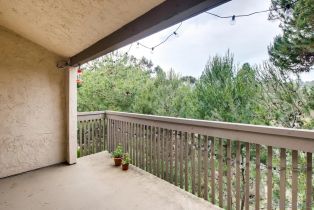 , 3134 Via Alicante, La Jolla, CA 92037 - 11