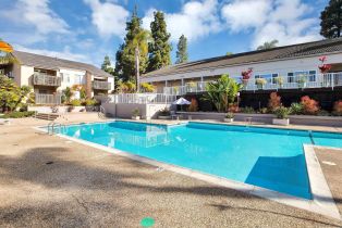 , 3134 Via Alicante, La Jolla, CA 92037 - 12