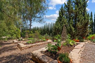 Single Family Residence, 4425 Brodea ln, Fallbrook, CA 92028 - 20