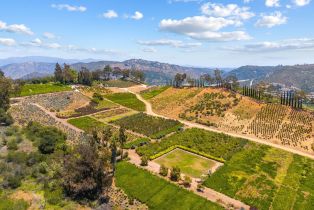 Single Family Residence, 4425 Brodea ln, Fallbrook, CA 92028 - 21